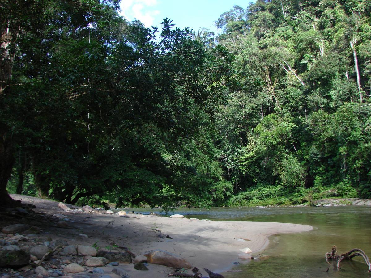 Playaselva Reserva Biologica Villa Archidona Esterno foto